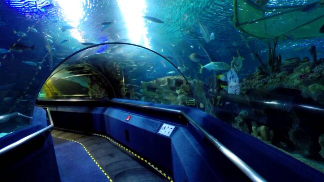 The Kuala Lumpur Oceanarium
