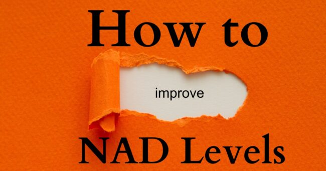 Boosting NAD+ Levels
