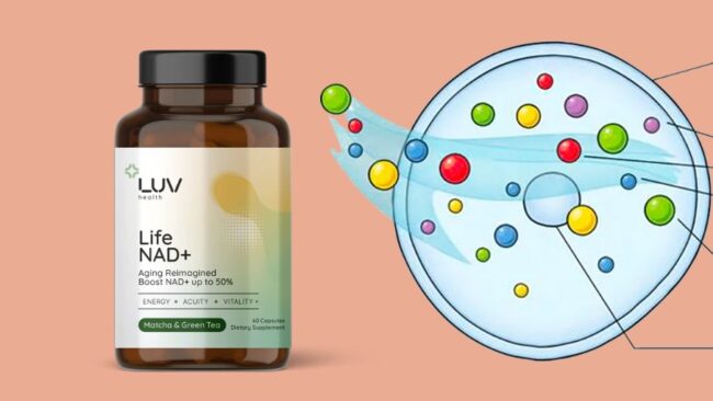 What Does NAD+ Do for Your Body